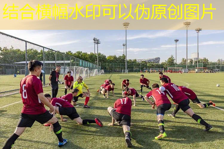 怎样选用网球拍自己玩的游戏