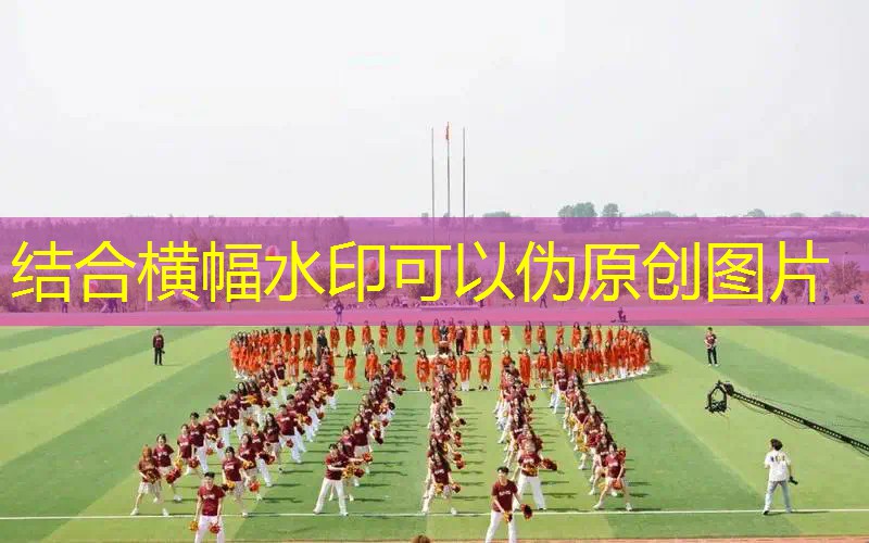 阿迪网球拍选购指南最新