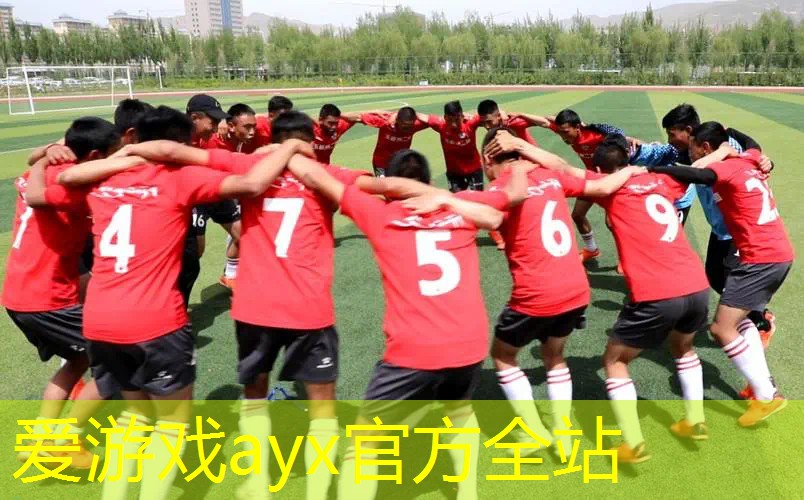 海德网球拍兹维列夫21