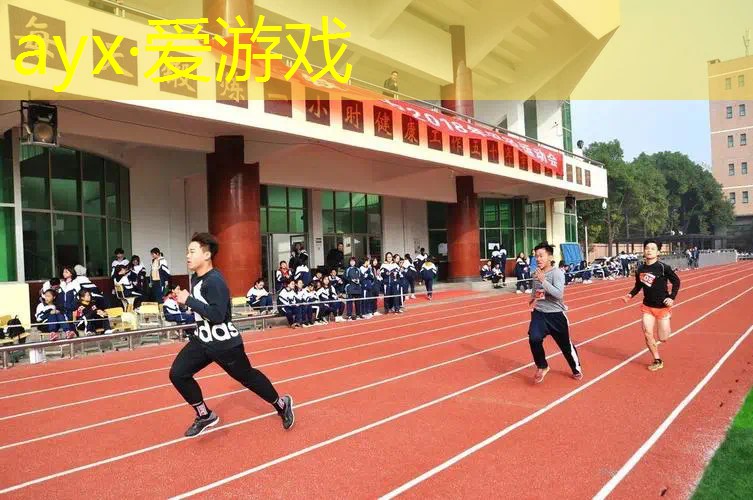 网球拍装备有哪些种类的