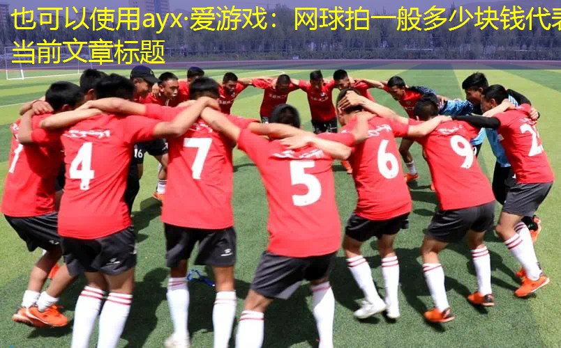 网球拍一般多少块钱