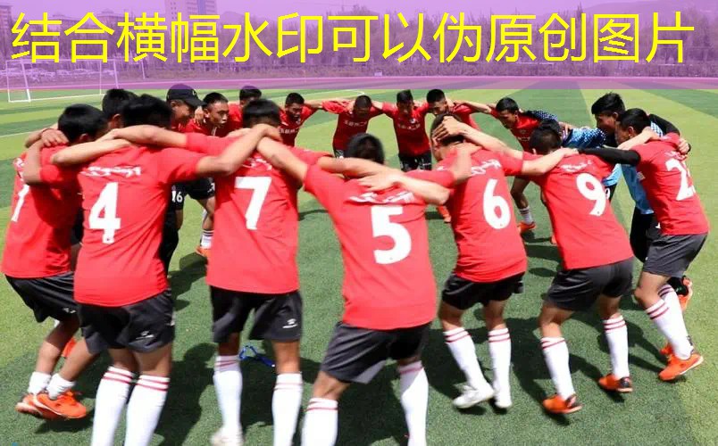 双楠网球拍好学吗_
