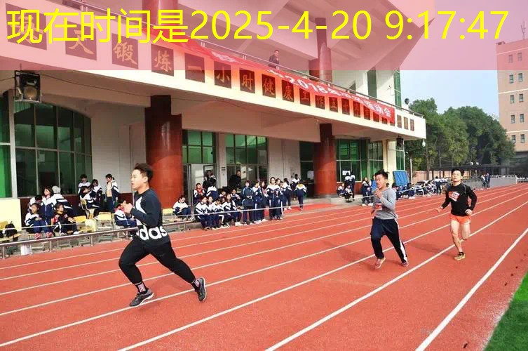网球拍上的横线是什么线
