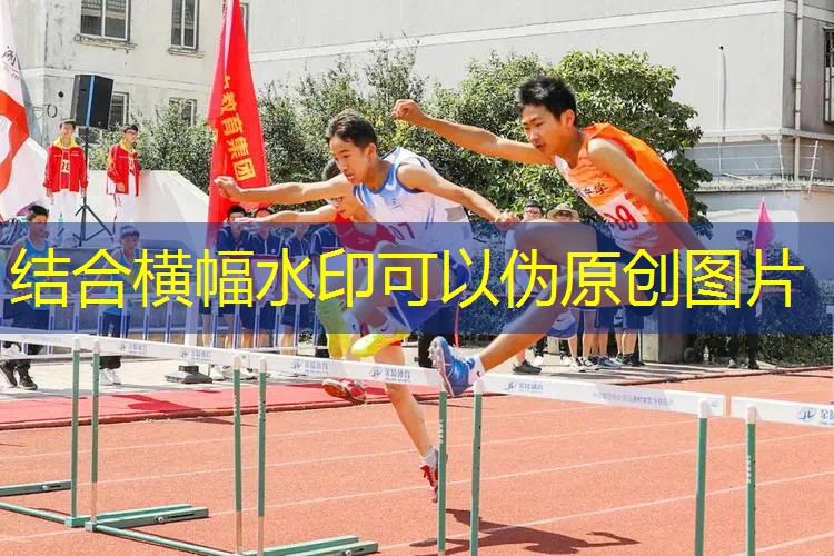 百宝力网球拍面