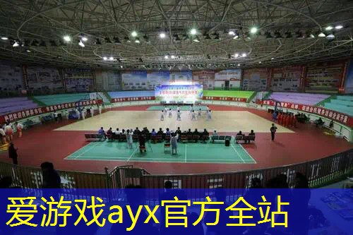 网球拍碳铝合金和碳纤维