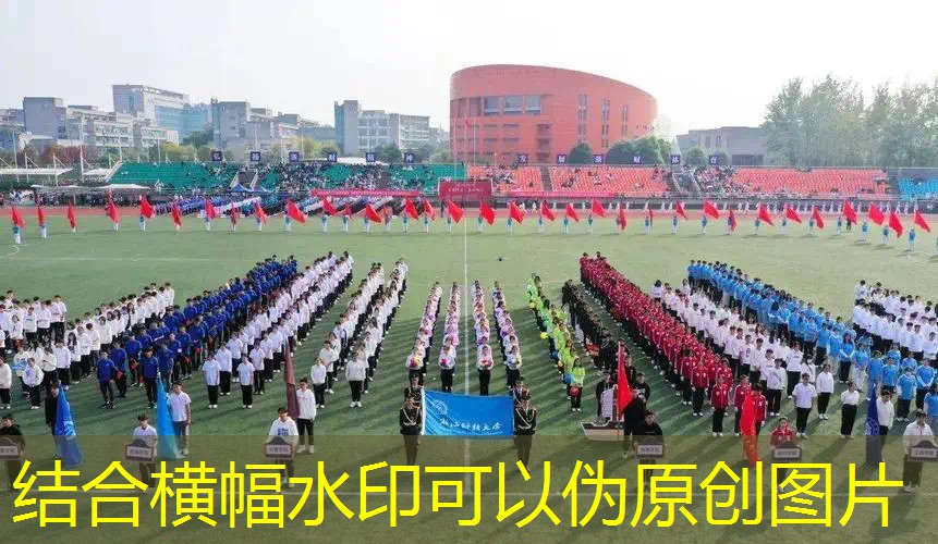 网球拍包内隔层多厚合适