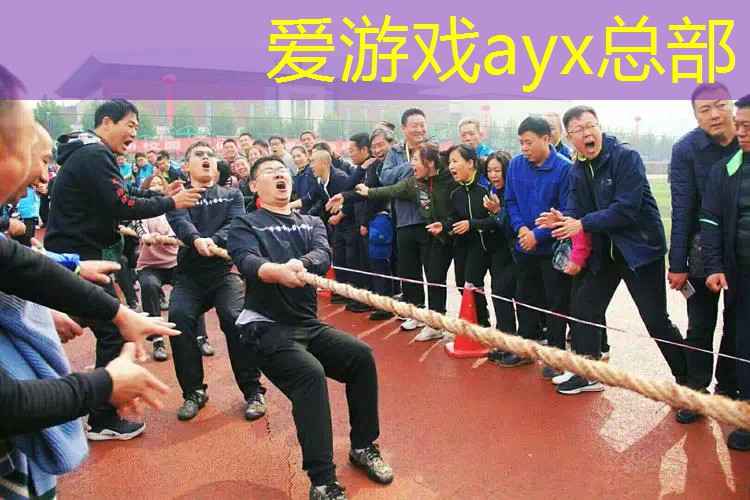 网球拍碳素的是硬的么