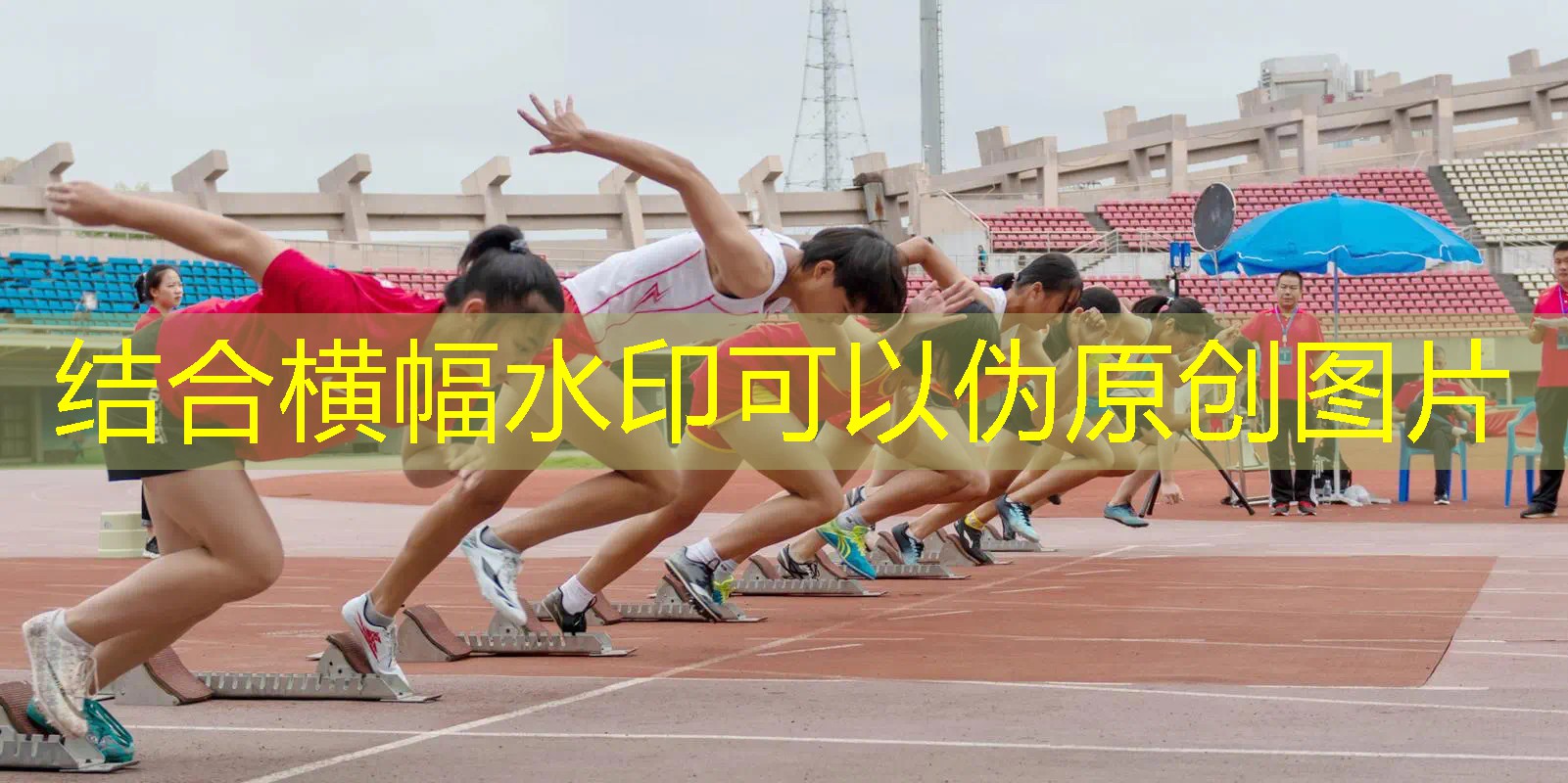 乒乓球台内的球
