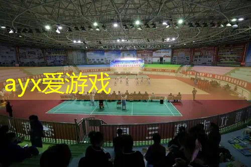 居家训练器材篮球鞋怎么选