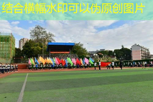全球共识升级！标准化塑胶跑道材料检测方式大揭秘