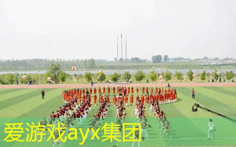 追求卓越，创造奇迹：揭秘移动篮球架手动液压篮球架参数！
