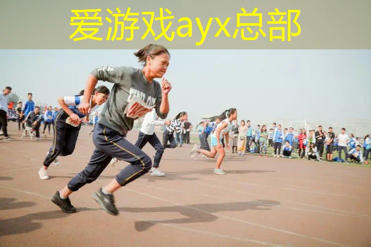 乒乓球台假