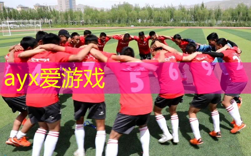 运动场建设者必读：深入解析塑胶跑道材料验收规范