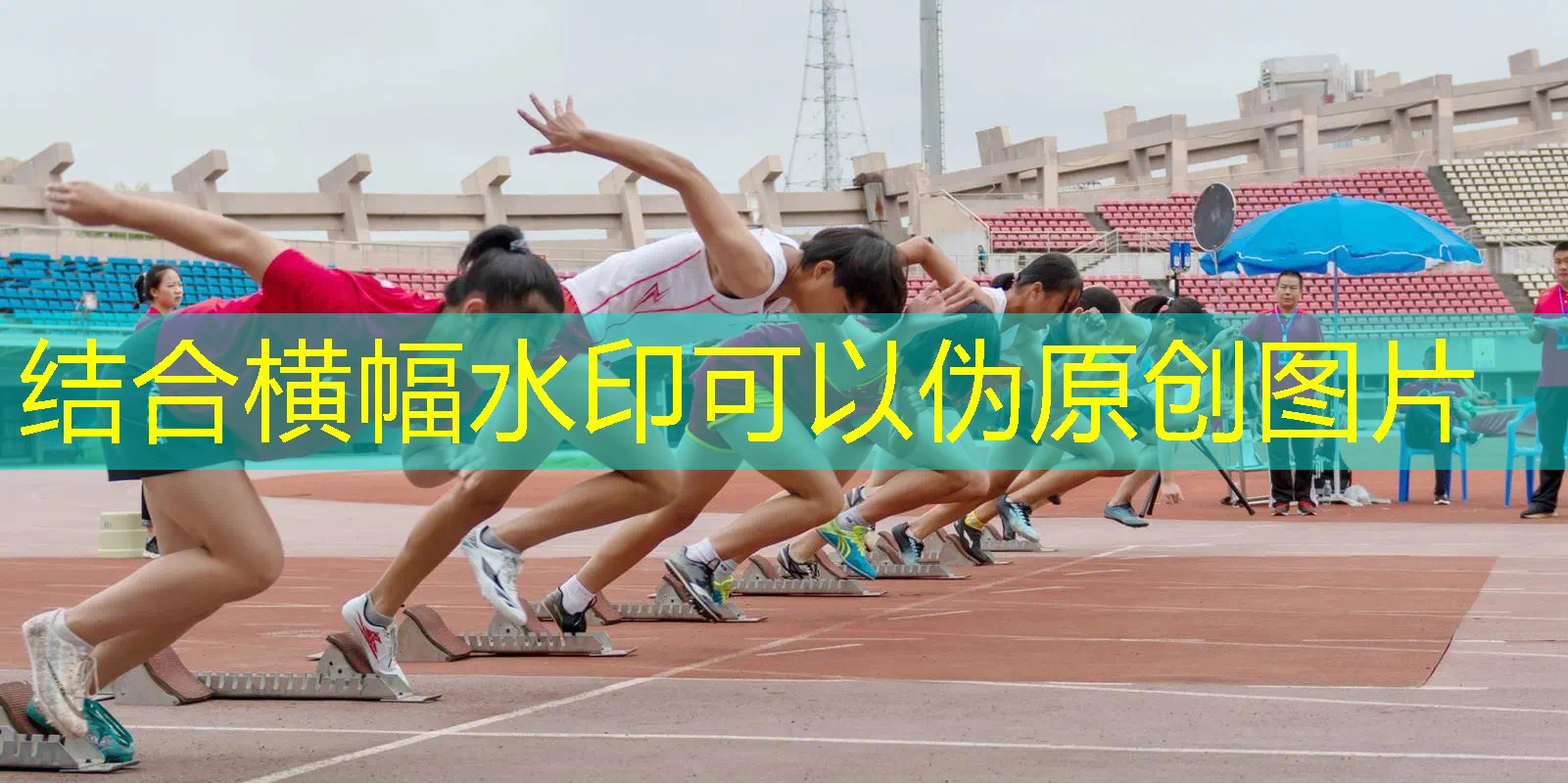 乒乓球台用什么最好