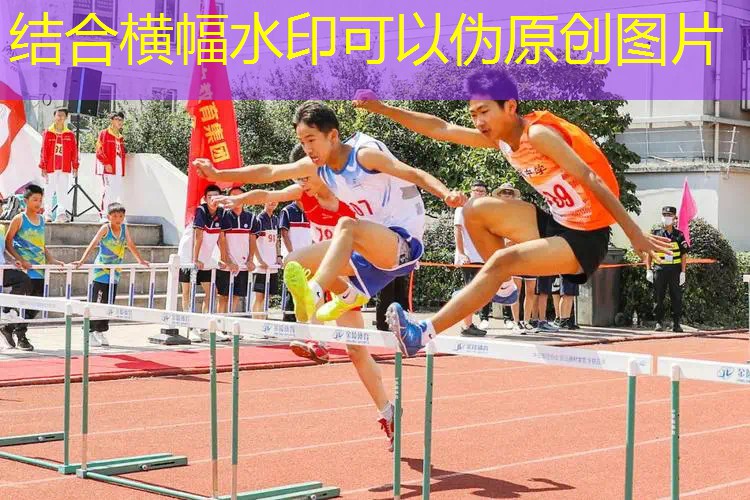 游戏与学习的完美结合！儿童球木头滑梯助力孩子全面发展！