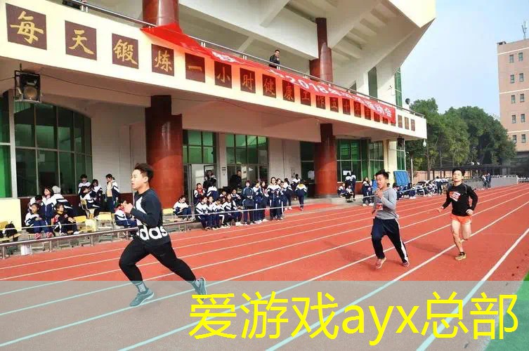 户外手掌按摩器：放松手部肌肉，愉悦一整天！