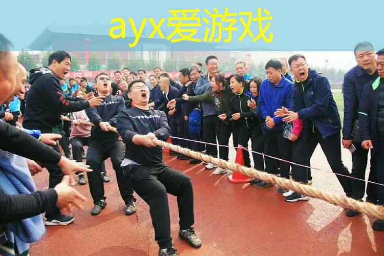 网球拍三个部分叫什么