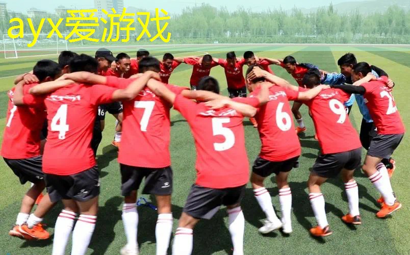 碳铝复合网球拍拆解教程