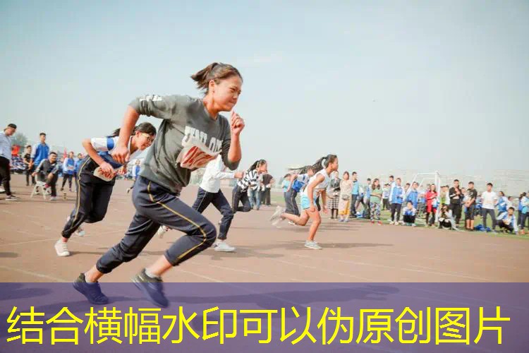 网球拍碳素和碳铝的区别