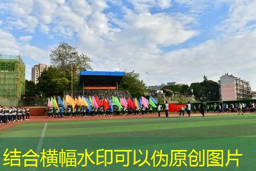 郑钦文的网球拍拍线
